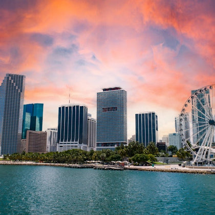 Skyviews Miami Observation Wheel: Entry Ticket