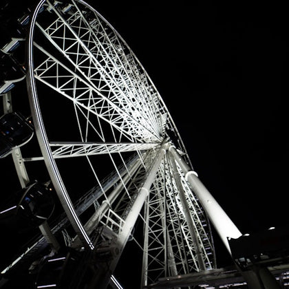 Skyviews Miami Observation Wheel: Entry Ticket
