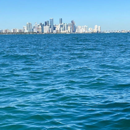 The skyline of the city of Miami, this unique view of the city can only be found in the Bay!