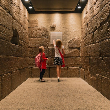 Royal Ontario Museum: General Admission Ticket