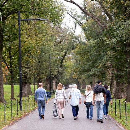 National Mall & Washington Monument: Guided Walking Tour