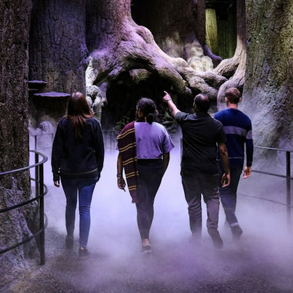 Warner Bros Studio Tour London