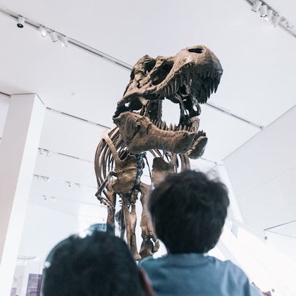 Royal Ontario Museum: General Admission Ticket