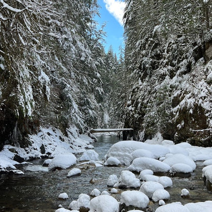 After a fresh snowfall