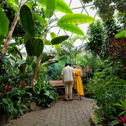 Bloedel Conservatory