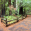 From San Francisco: Day Trip to Muir Woods & Sausalito