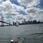Sailing across the San Francisco skyline