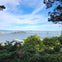 Bay Bridge