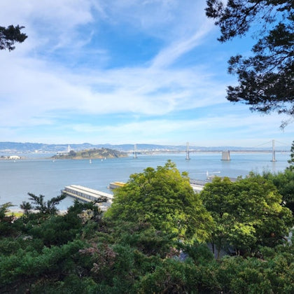 Bay Bridge