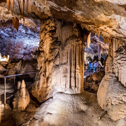 Sydney iVenture Flexi Pass: Access to 3, 5, or 7 Attractions