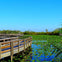 Everglades National Park