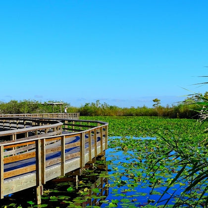 Everglades National Park