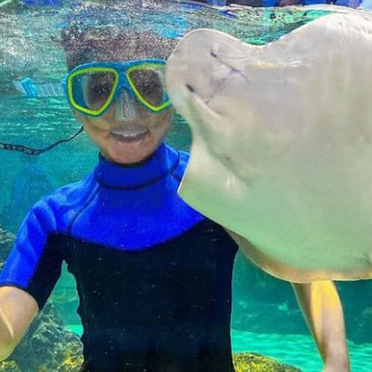 SeaQuest Fort Worth: Entry Ticket