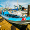 Vancouver: City and Seal Cruise
