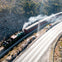 A steam train with red passenger cars travels alongside a road in a forested area under sunlight.
