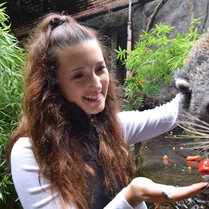 Animal encounters at Mogo Wildlife Park