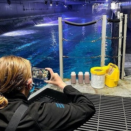 Aquarium Of the Bay 