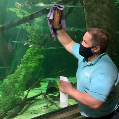 SEA LIFE Aquarium at American Dream: General Admission