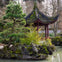 A traditional pavilion with a curved roof stands beside a pond, surrounded by rocks, trees, and greenery in a tranquil garden scene.