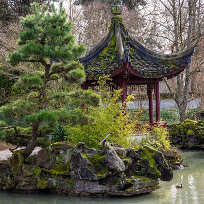 A traditional pavilion with a curved roof stands beside a pond, surrounded by rocks, trees, and greenery in a tranquil garden scene.