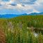 A forested landscape with a pond, surrounded by pine trees and mountains under a partly cloudy sky.