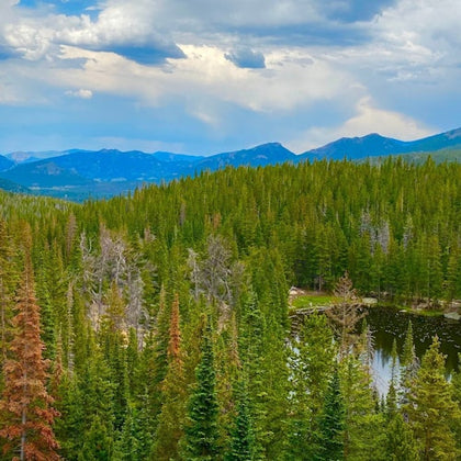 A forested landscape with a pond, surrounded by pine trees and mountains under a partly cloudy sky.