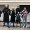 New York Top Sights Tour & Fearless Girl