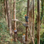 People wearing safety harnesses and helmets navigate a treetop obstacle course among tall trees in a forest.