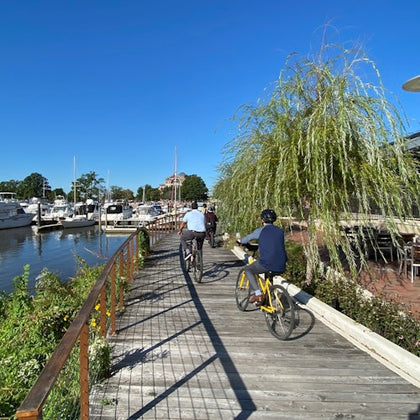 Washington D.C. Bike Rentals
