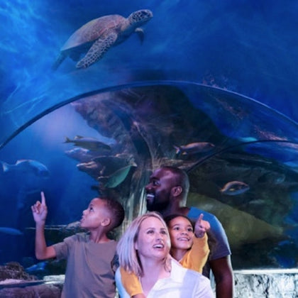 SEA LIFE Aquarium at American Dream: General Admission