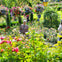 Victoria & Butchart Gardens: Day Trip from Vancouver