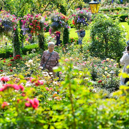 Victoria & Butchart Gardens: Day Trip from Vancouver