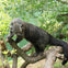 Animal encounters at Mogo Wildlife Park