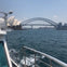 Sightseeing Cruises on Sydney Harbour