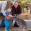 A child feeding a small kangaroo while two adults watch, all standing by a wooden fence in an outdoor setting.