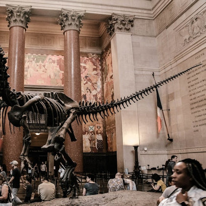 A dinosaur skeleton inside the American Museum of Natural History entrance.