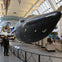 A large blue whale model suspended in a museum gallery, with visitors observing and exhibits displayed around.