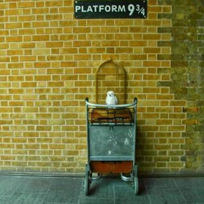 Harry Potter Walking Tour, River Cruise and London Eye