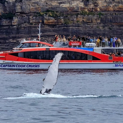 A whale breaches near a red and white boat with people observing, set against a rocky coastal backdrop.