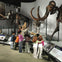Field Museum 