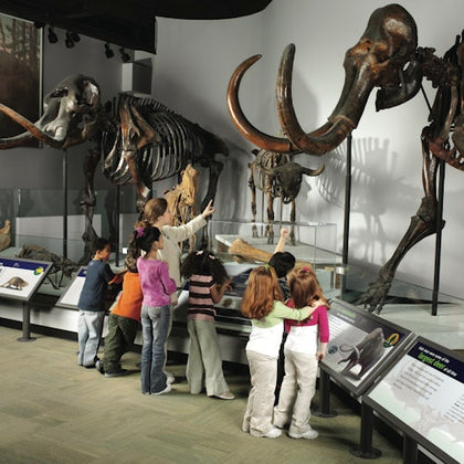 Field Museum 