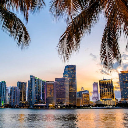 Best of Miami Small Group Tour