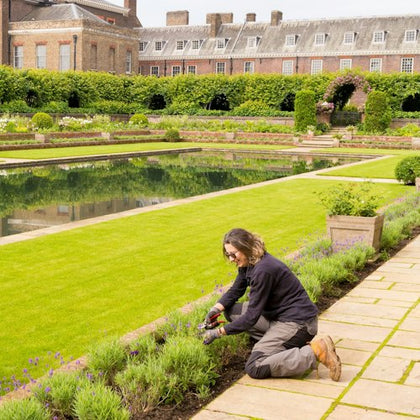 A person gardening near a manicured lawn and reflecting pool in a formal garden, with a large building in the background.