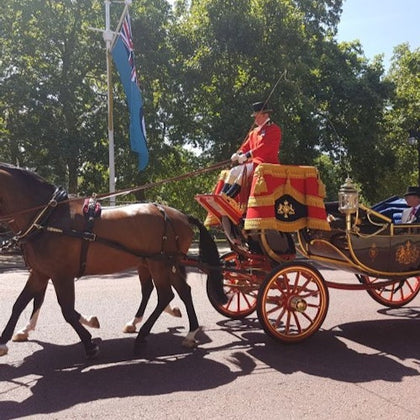 British Royalty: Observe the Changing of the Guard