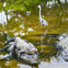 Everglades: Gator Nights 60-Minute Airboat Adventure