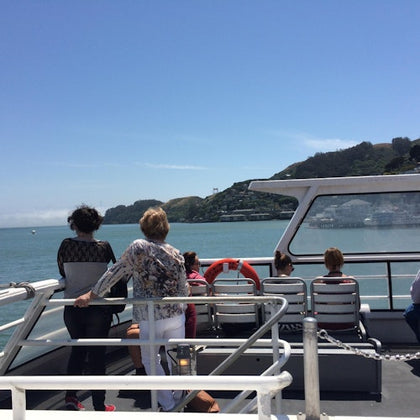 People standing and sitting on a boat deck, enjoying a scenic view of water and a distant shoreline under a clear blue sky.