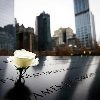 A white rose placed on a memorial with engraved names, with city buildings blurred in the background.