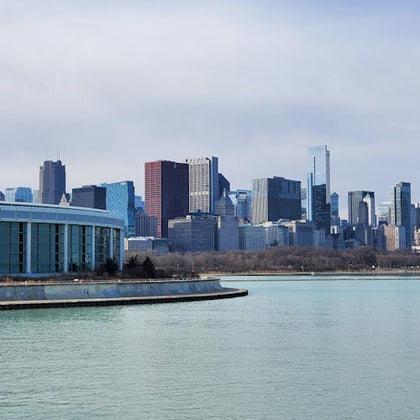 Chicago City: Mini Bus Tour