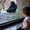 Franklin Park Zoo: Entry Ticket