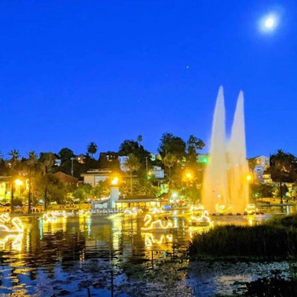 Los Angeles Echo Park: Swan Boats Rental